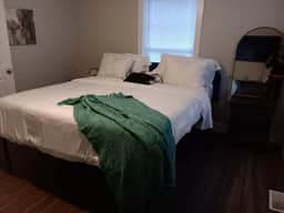 Cute 1BR with Fenced Yard