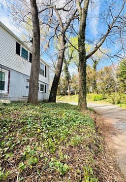 1BR Near Cherrydale Food/Shops and Downtown